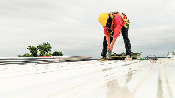 Best Gutter Installation and Repair  in Hamilton College, NY