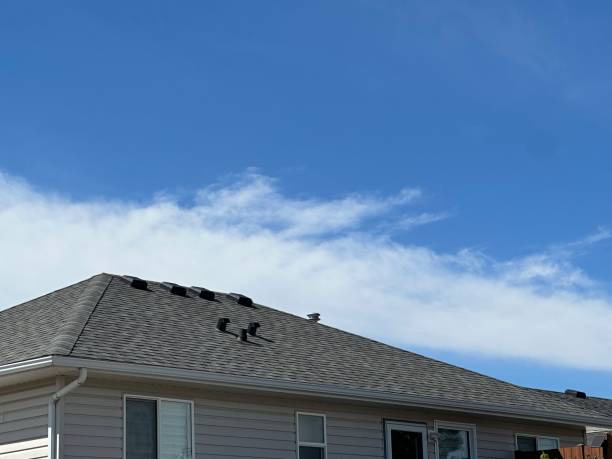 Best Roof Ventilation Installation  in Hamilton College, NY
